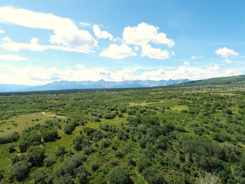 Horsefly Mesa Ranch : Montrose : Ouray County : Colorado