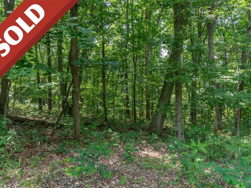 Bushby Rd, 10 Acres, Hocking Coun : South Bloomingville : Hocking County : Ohio