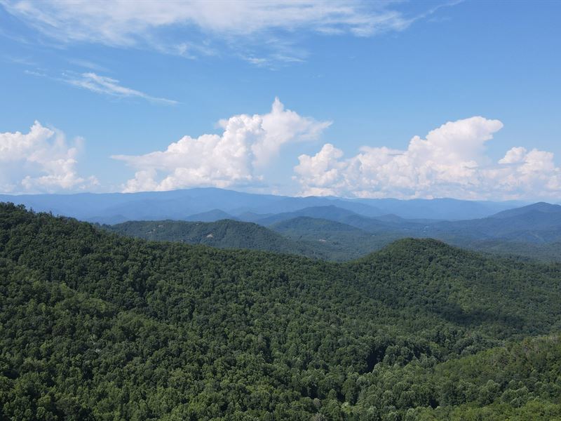 Cherry Wood, 152 Ac Swain County : Bryson City : Swain County : North Carolina