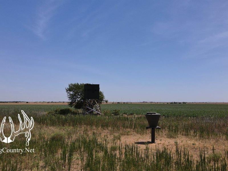 161 Acres M/L Grant County, OK, Ranch for Sale in Oklahoma, 329031