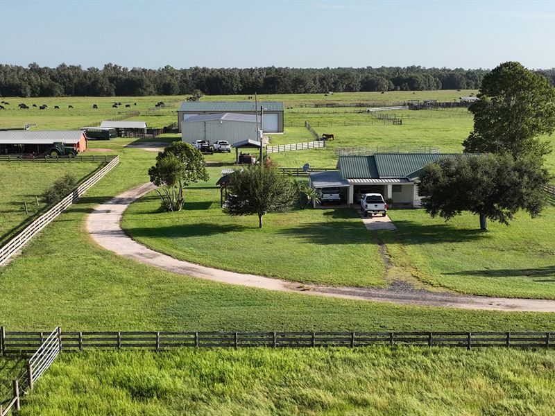 Peace Valley Ranch : Fort Meade : Polk County : Florida