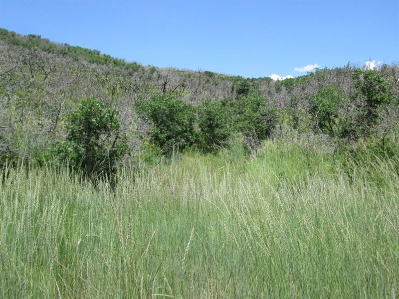 32 Raspberry Mt. Ranch Filing 3 : La Veta : Huerfano County : Colorado