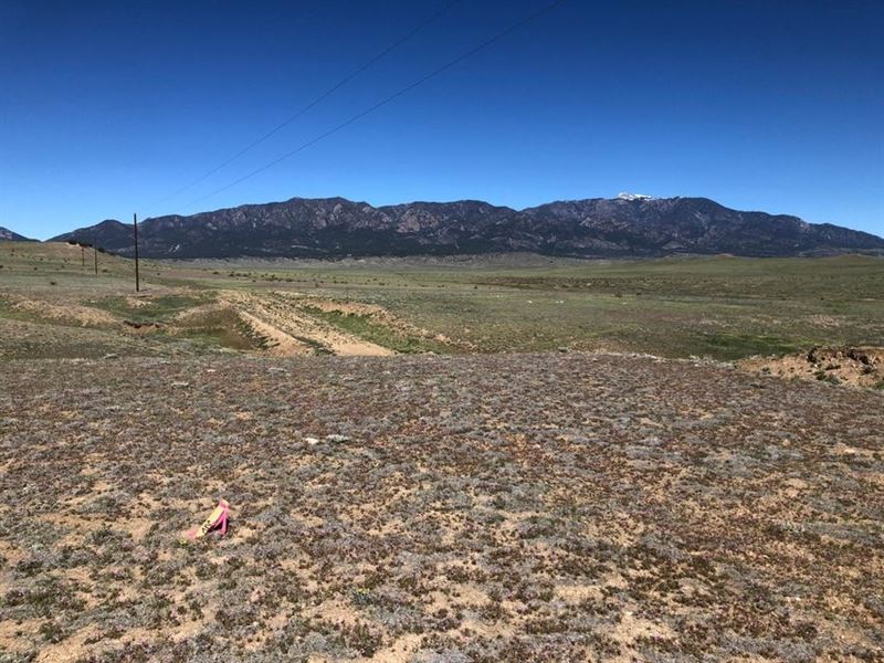 77 Colorado Buffalo Ranch, Walsenbu : Walsenburg : Huerfano County : Colorado