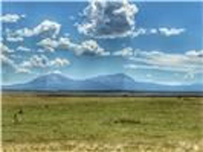 Colorado Buffalo Ranch 54, Wals : Walsenburg : Huerfano County : Colorado