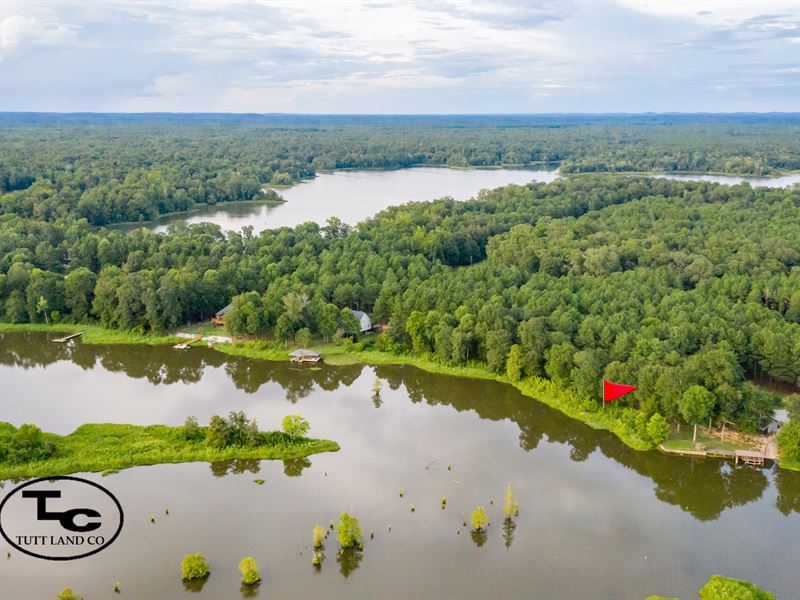 Black Warrior Bay River Lot, Ranch for Sale in Alabama, 329337 RANCHFLIP