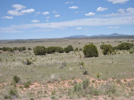 ranches windmill ranch acres ancho ranchflip