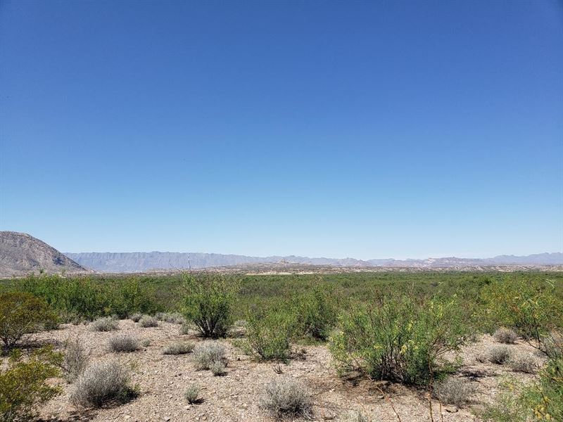 2 Lots for Sale in Marfa, Texas : Marfa : Presidio County : Texas