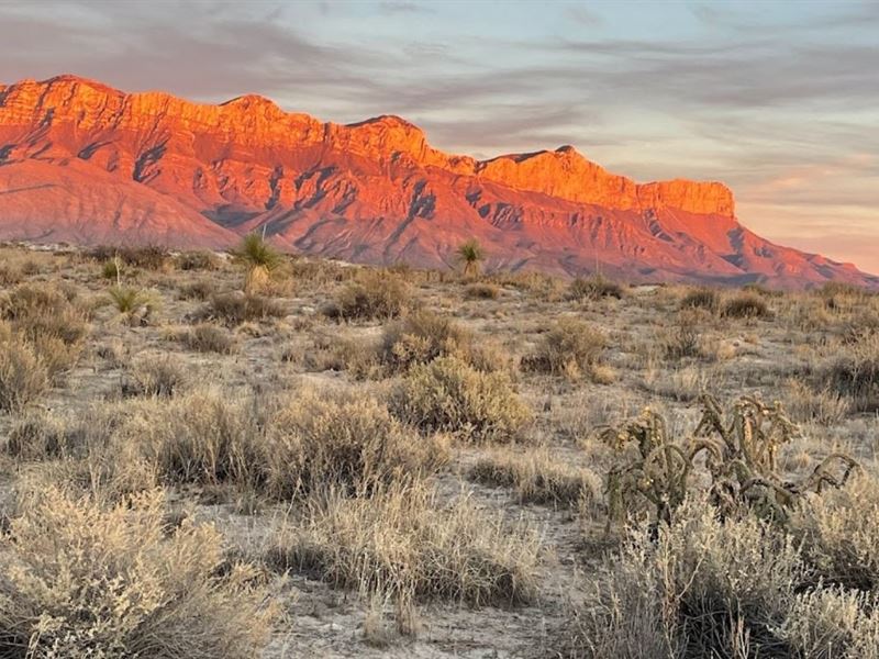 2 Lots for Sale in Dell City, Texas : Dell City : Hudspeth County : Texas