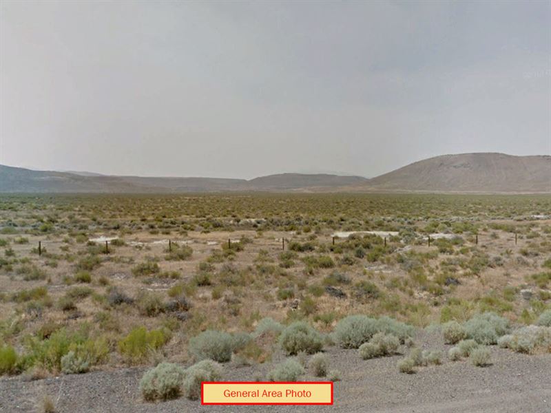40 Acres in Humboldt County, NV : Humboldt River Ranch : Humboldt County : Nevada