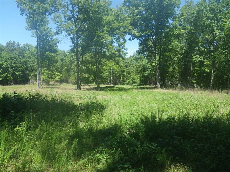 Land for Sale in Howell County, MO : West Plains : Howell County : Missouri