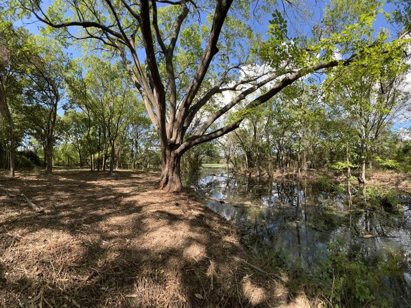 138 Acres in Johnson County : Cleburne : Johnson County : Texas