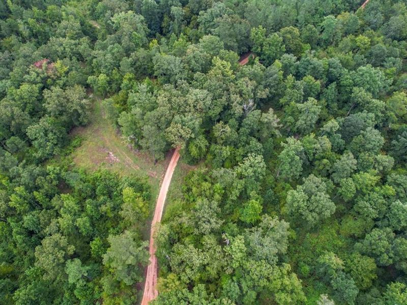 95 Acres Hunting Land For Sale : Utica : Hinds County : Mississippi