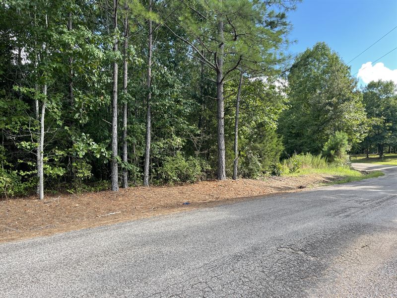 Wooded Land for Sale in TN : Enville : McNairy County : Tennessee