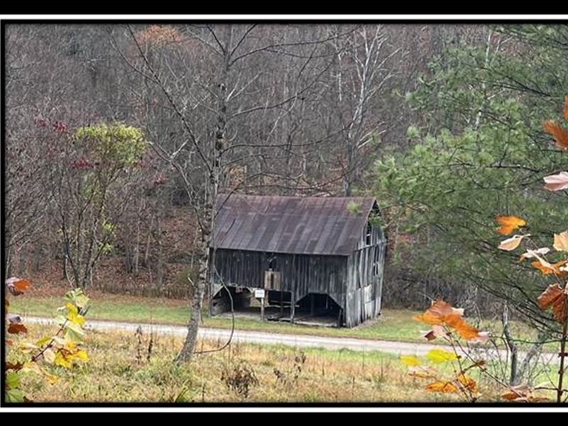 Tract 11, The Woods at Buck Run : Langsville : Meigs County : Ohio