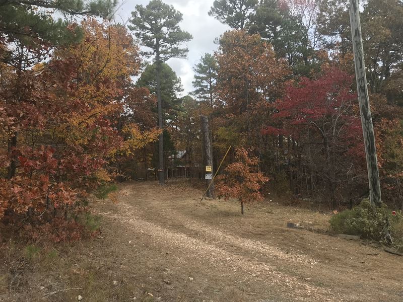 Beautiful Wooded Arkansas Acreage : Harriet : Searcy County : Arkansas