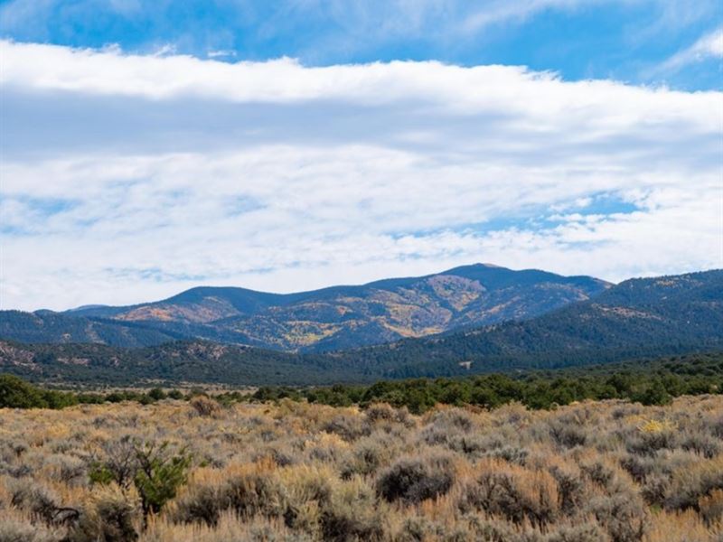 10.01 Acres in Costilla County, CO : Blanca : Costilla County : Colorado