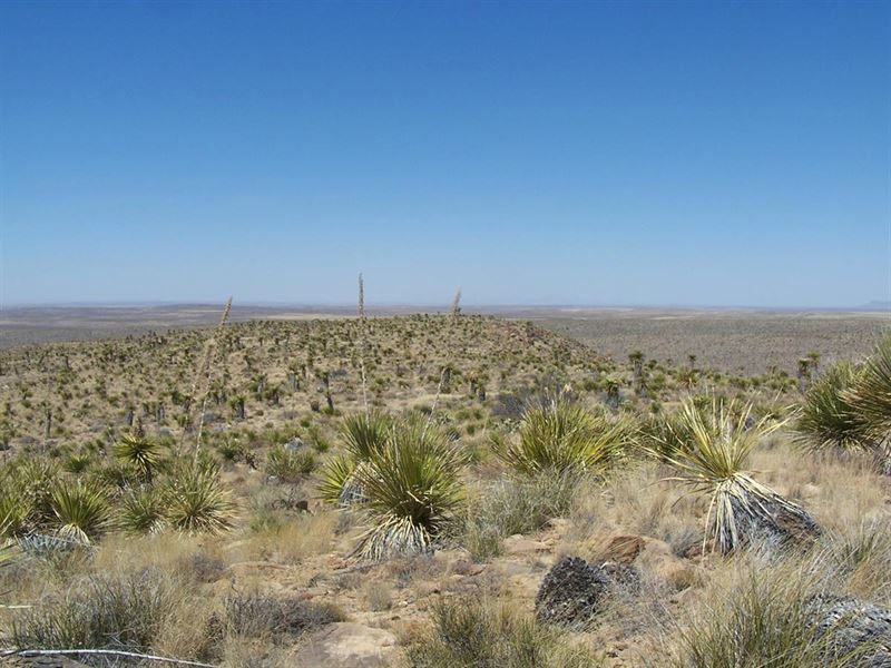 21+ Dell City Texas Acres Right Off : Dell City : Hudspeth County : Texas
