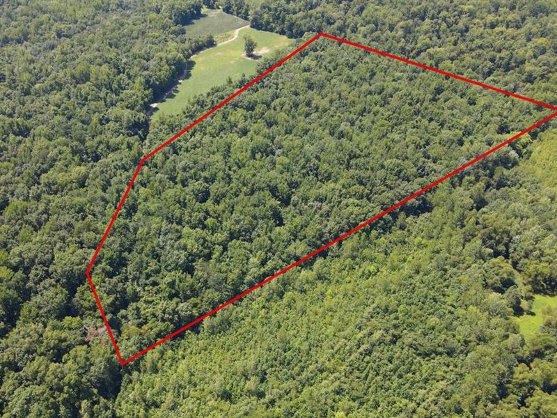 White River Bend Tract 2 : Petersburg : Pike County : Indiana