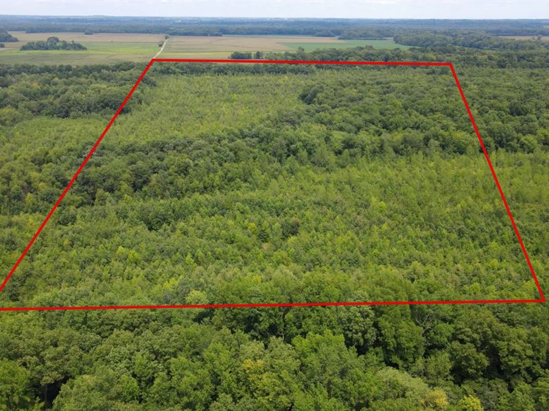 White River Bend Tract 3 : Petersburg : Pike County : Indiana