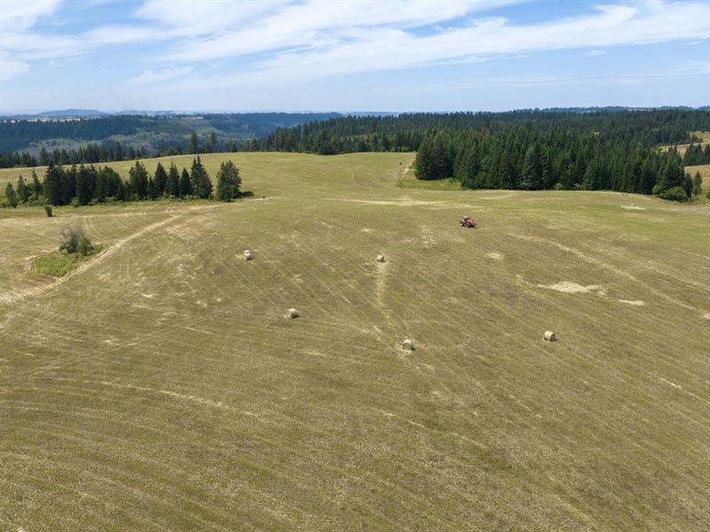 Rocking J Ranch, Parcel 11 : Weippe : Clearwater County : Idaho