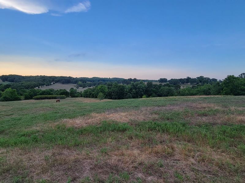 Southern Missouri Acreage for Sale : Mountain Grove : Douglas County : Missouri