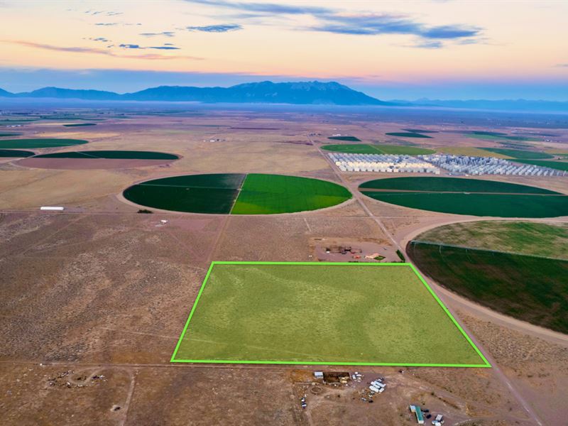 40 Acres, Power & Mountain Views : Alamosa : Alamosa County : Colorado