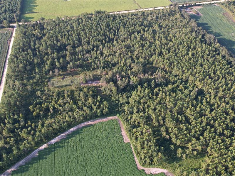 Beautiful Land with Pond : Cottondale : Jackson County : Florida