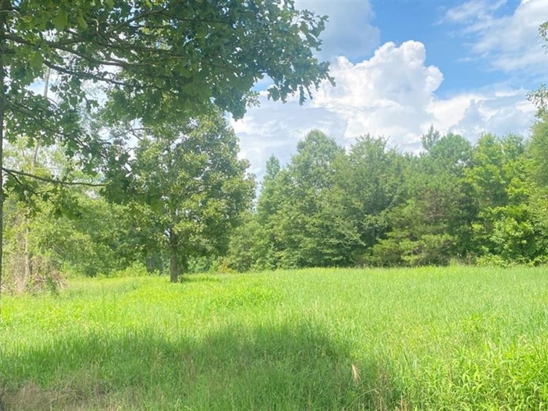 92 Acre In Leake County, MS : Carthage : Leake County : Mississippi