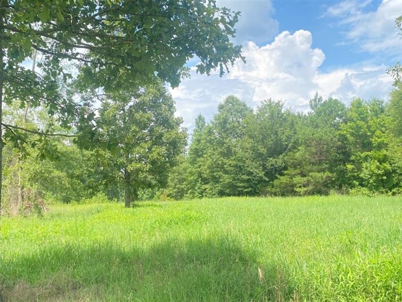 92 Acre in Leake County, MS : Carthage : Leake County : Mississippi
