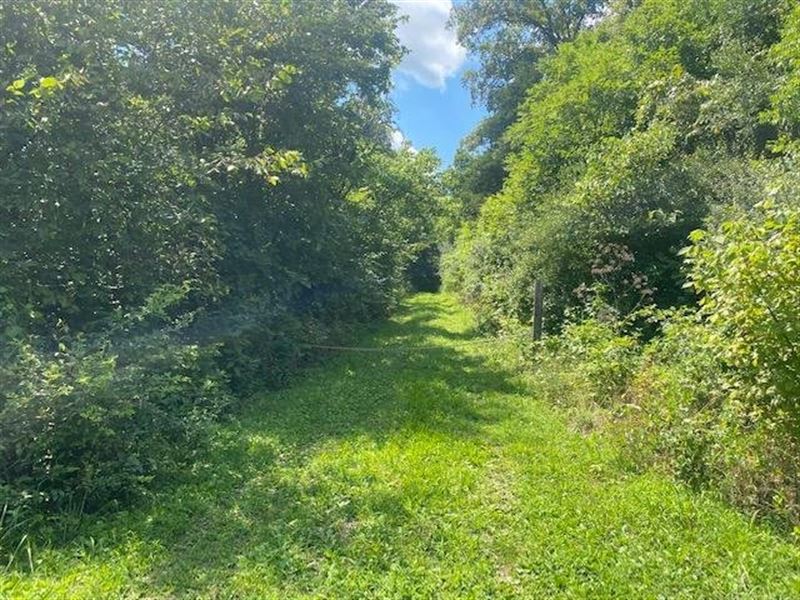 24 Acres Dearborn County, Indiana : Moores Hill : Dearborn County : Indiana