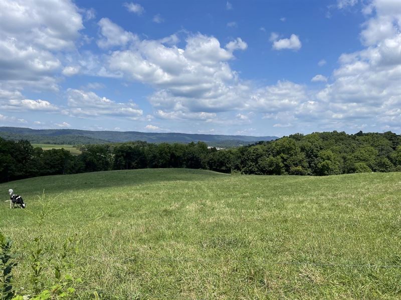 Ott Town Rd, Bedford County, 11 : Everett : Bedford County : Pennsylvania
