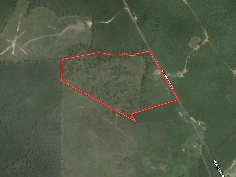 27.2 Acres of Hunting and Recreatio : Lawrenceville : Brunswick County : Virginia