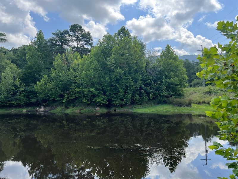 25+/- Acres with 2 Ponds and Creek : Trenton : Dade County : Georgia