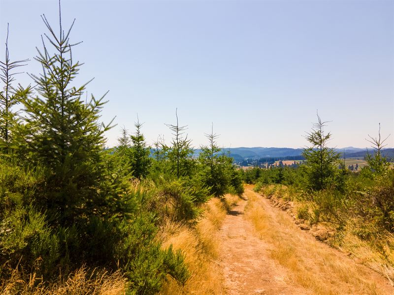 King's View : Eugene : Lane County : Oregon