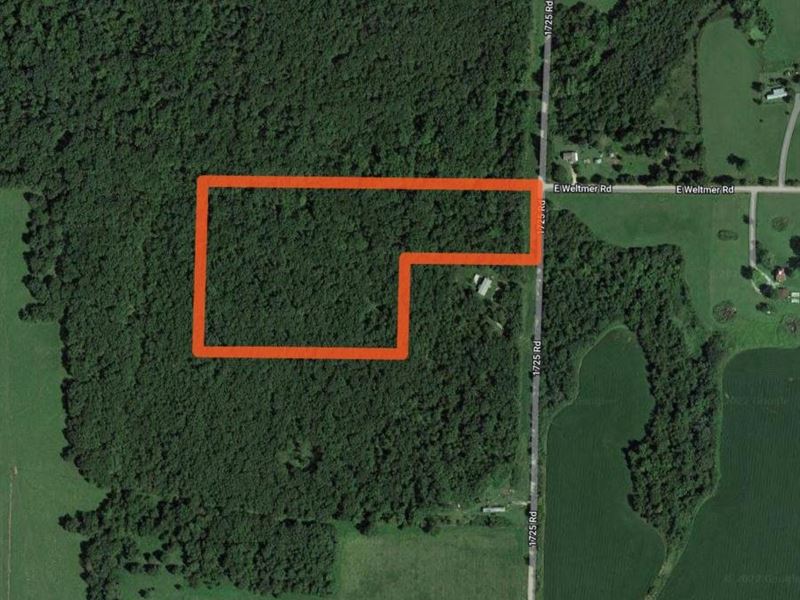Vernon County 16 Acres of Timber : Sheldon : Vernon County : Missouri