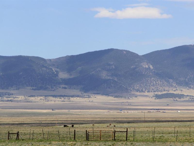 Chaparral Meadows Ranch 101 : Hartsel : Park County : Colorado