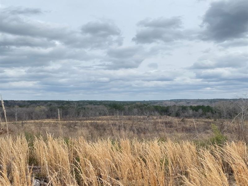 30 Acre Homesite in Calhoun County : Banner : Calhoun County : Mississippi