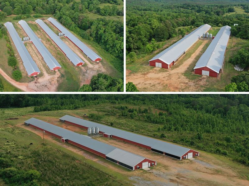 New Price, Summerlin Farm : Delta : Clay County : Alabama