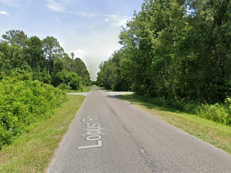 2 Lots for Sale in Ocala, FL : Ocala : Marion County : Florida
