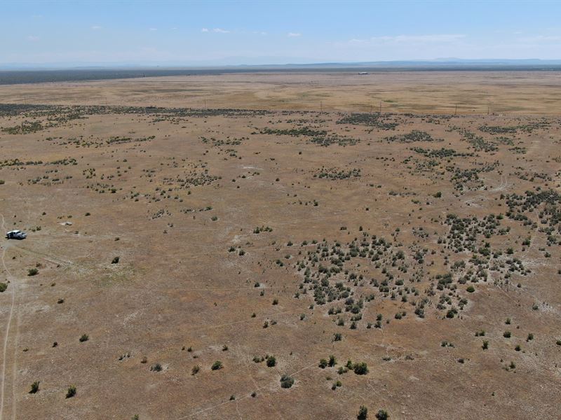 Eastern Oregon Acreage, 160 Acres, Ranch for Sale in Oregon, 329944 RANCHFLIP