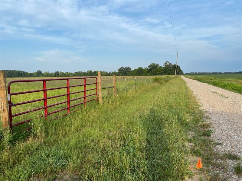 La, Richland 30 Acres : Rayville : Richland Parish : Louisiana
