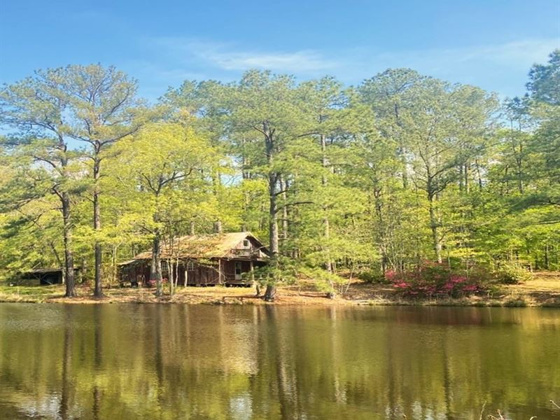 217 Acre Recreational Tract : Sylvarena : Smith County : Mississippi