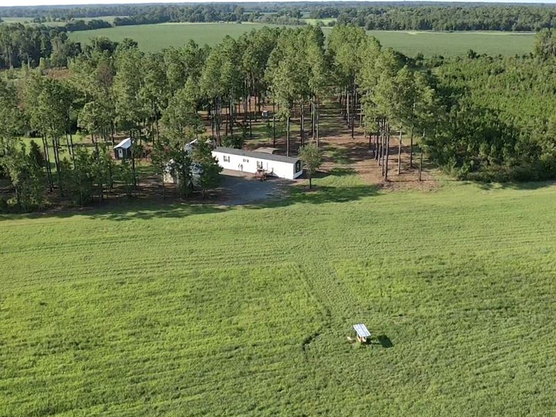 Sawyer Bear Ranch : Cordele : Crisp County : Georgia