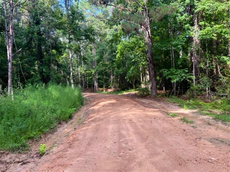 154 Ac M/L in Wilkinson County : Woodville : Wilkinson County : Mississippi