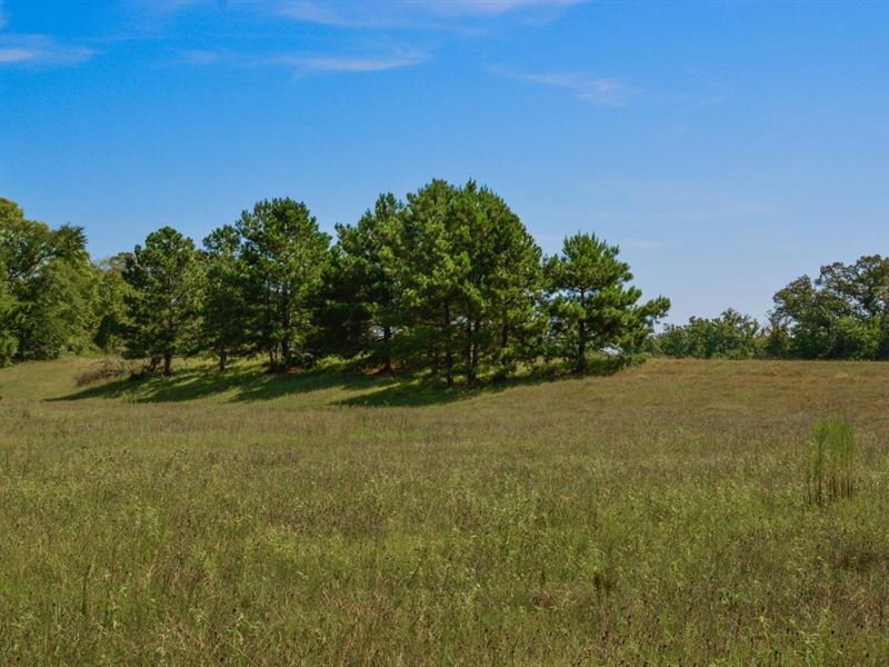 Angler's Ridge, Lot No. 2, Nacog : Sacul : Nacogdoches County : Texas