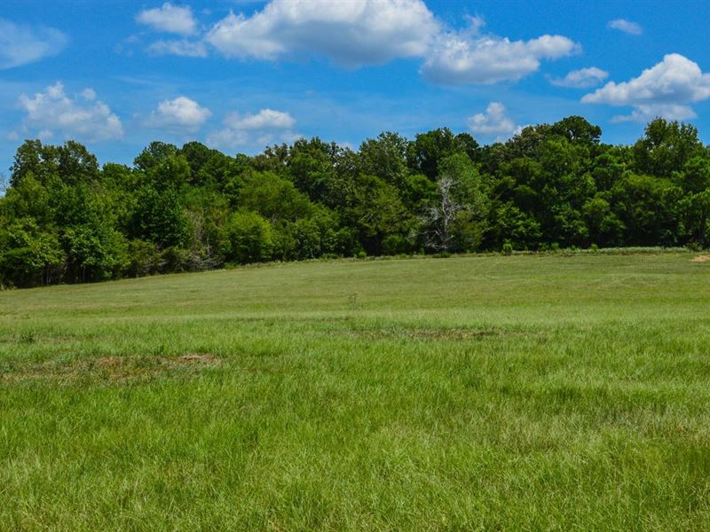 Angler's Ridge, Lot No. 4, Nacogd : Sacul : Nacogdoches County : Texas