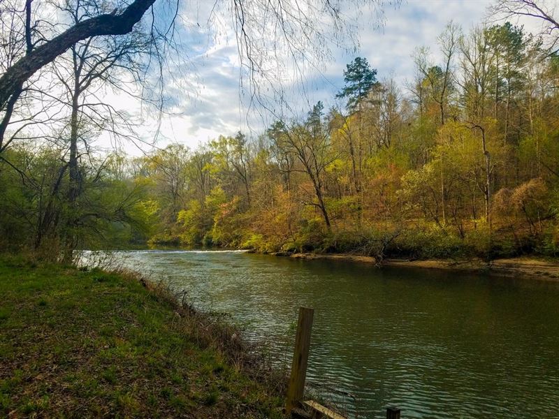 Hatchet Creek Frontage with Incredi : Rockford : Coosa County : Alabama