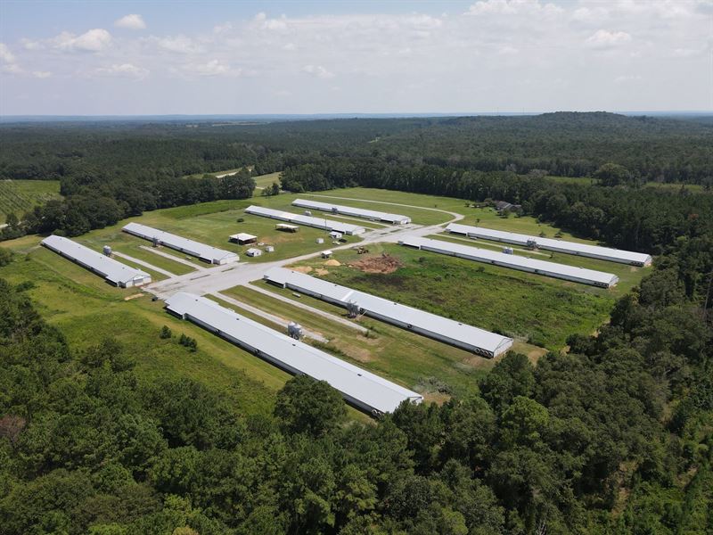 Sundowner Farm : Eufaula : Russell County : Alabama