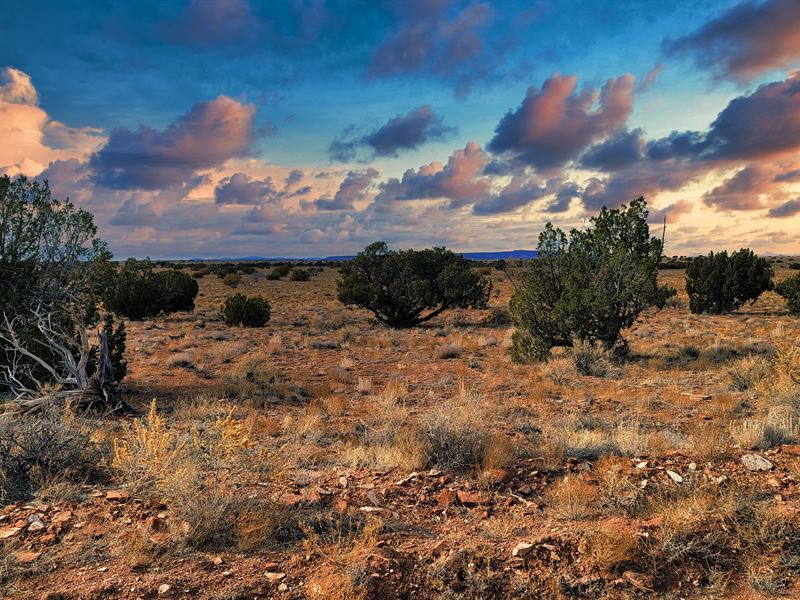 36 Acre Wilderness Mesa Top Retreat : Saint Johns : Apache County : Arizona
