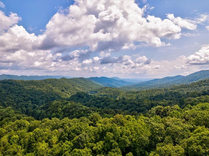 150 Acre Mountain Retreat : Rogersville : Hawkins County : Tennessee